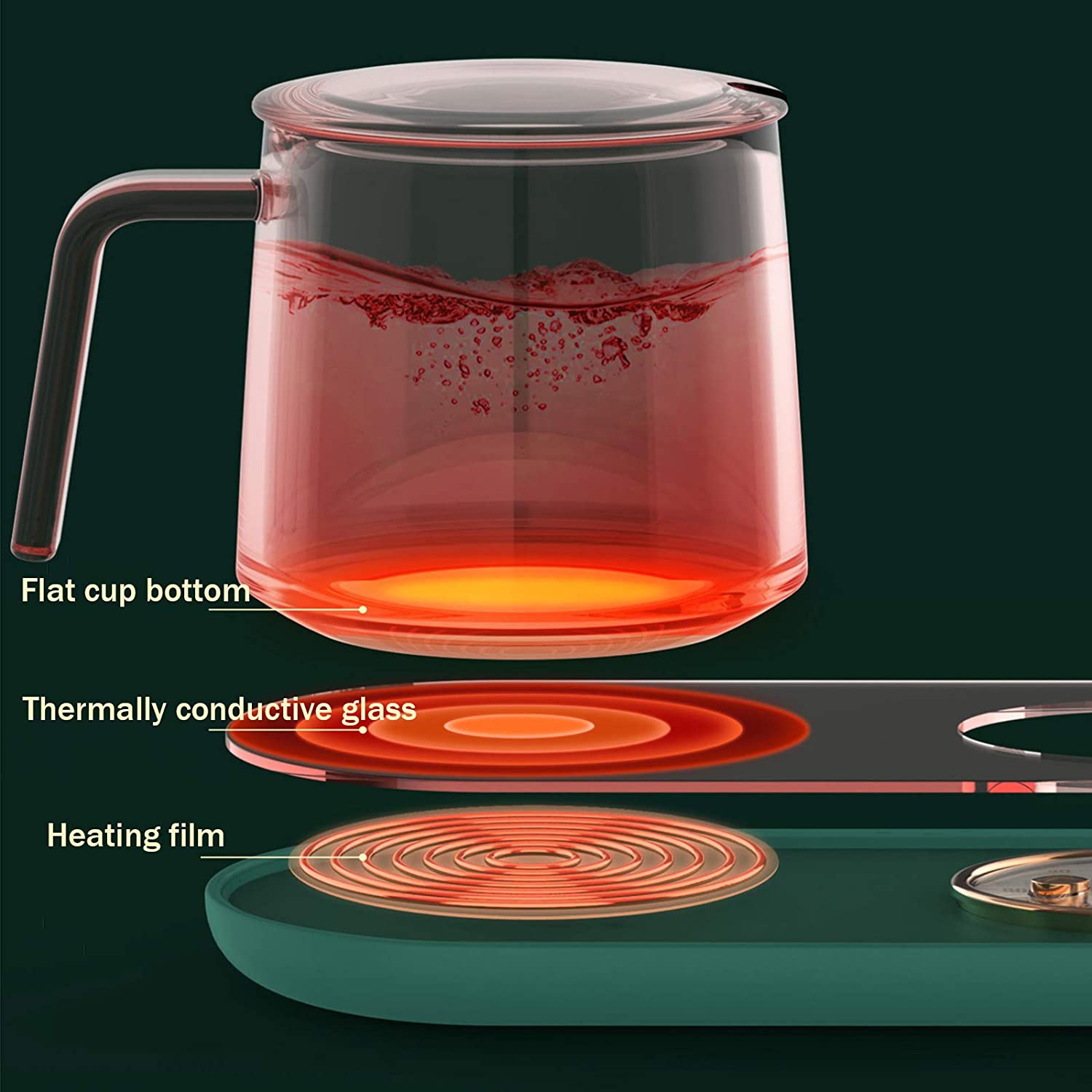 Homey Electric Mug Warmer